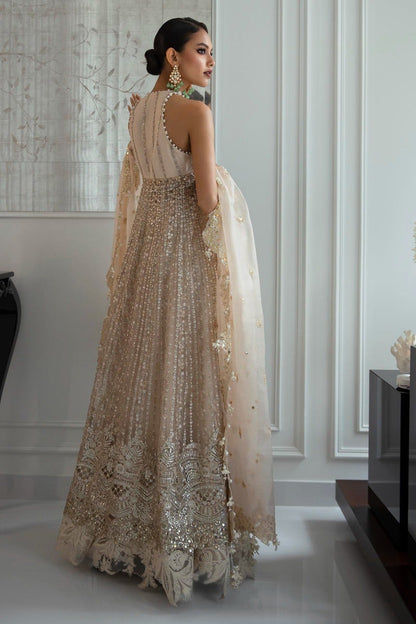 Buy Now, Nura Festive Collection 2023 Vol II - Sana Safinaz - Shahana Collection UK - Wedding and Bridal Party dresses - Sana Safinaz in UK 