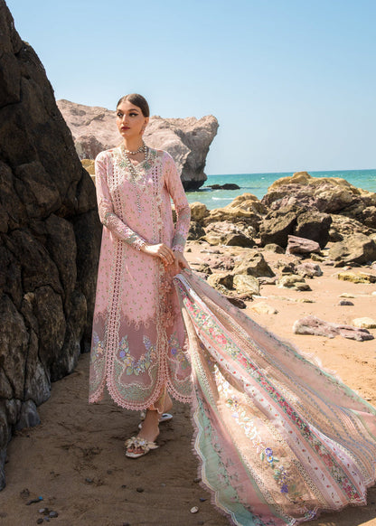 Buy Now, Summer Rosettes  - 2A - Crimson Luxury Lawn 2023 - Saira Shakira - Shahana Collection UK - Wedding and Bridal Party Dresses