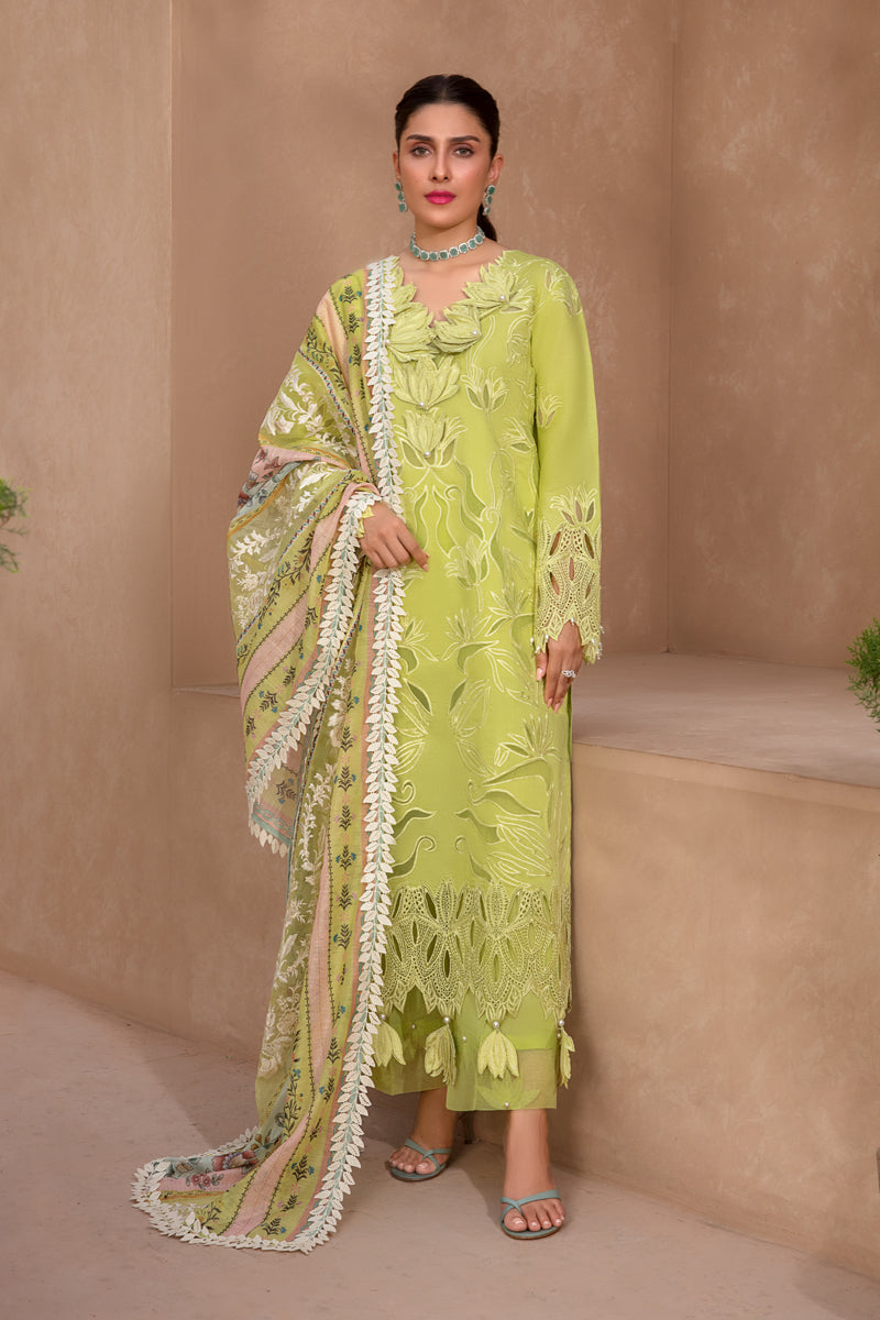 Buy Now, Lime - Premium Eid Collection 2023 - Rang Rasiya - Shahana Collection UK - Wedding and bridal  party dresses