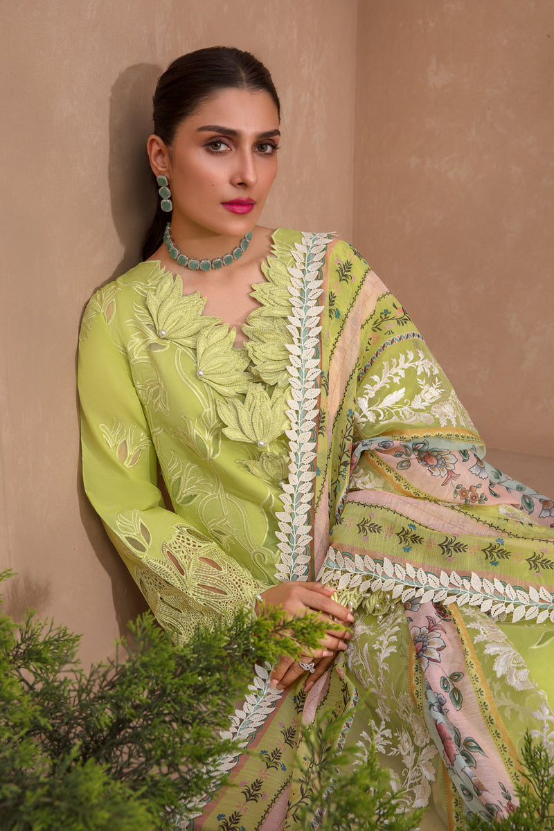 Buy Now, Lime - Premium Eid Collection 2023 - Rang Rasiya - Shahana Collection UK - Wedding and bridal  party dresses