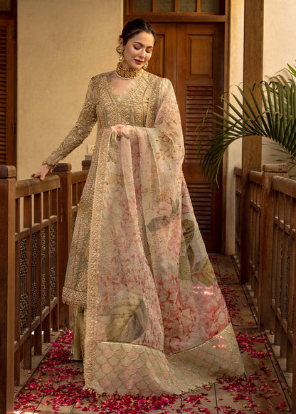 Shikargah - Aik Jhalak Wedding Collection - Crimson - Shikargah - Aik Jhalak Wedding Collection - Crimson - Shahana Collection